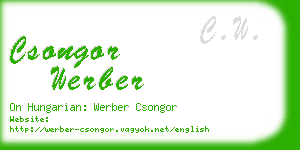 csongor werber business card